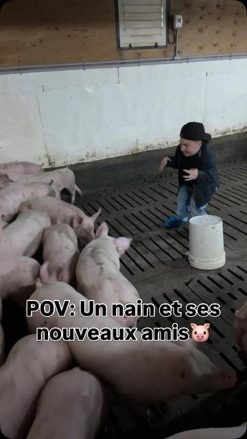 Aperçu d'une vidéo de Thomas pour Festival du Cochon